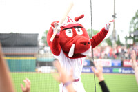 Razorback Baseball vs UAPB 4.14.26 DSP - Little Rock